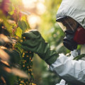 Avoiding Harsh Chemicals with Organic Pest Control Before Moving