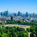 How Organic Pest Control Strategies Differ for Urban vs. Rural Homes