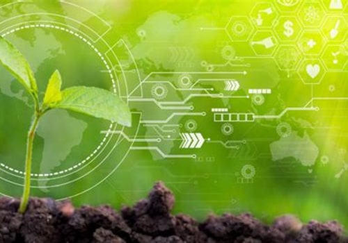 The Connection Between Organic Pest Control, Soil Health, and Structural Stability
