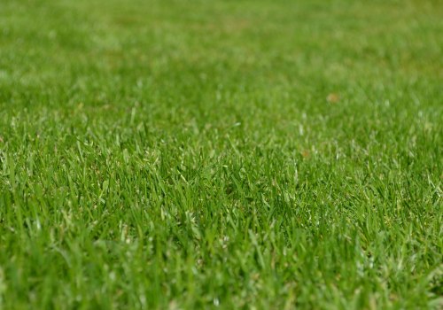 Organic Lawn Care in Loudoun County by Pro-Mow, Inc.