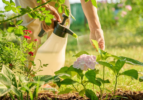 Organic Pest Control and the Value of Coordinated Home Care